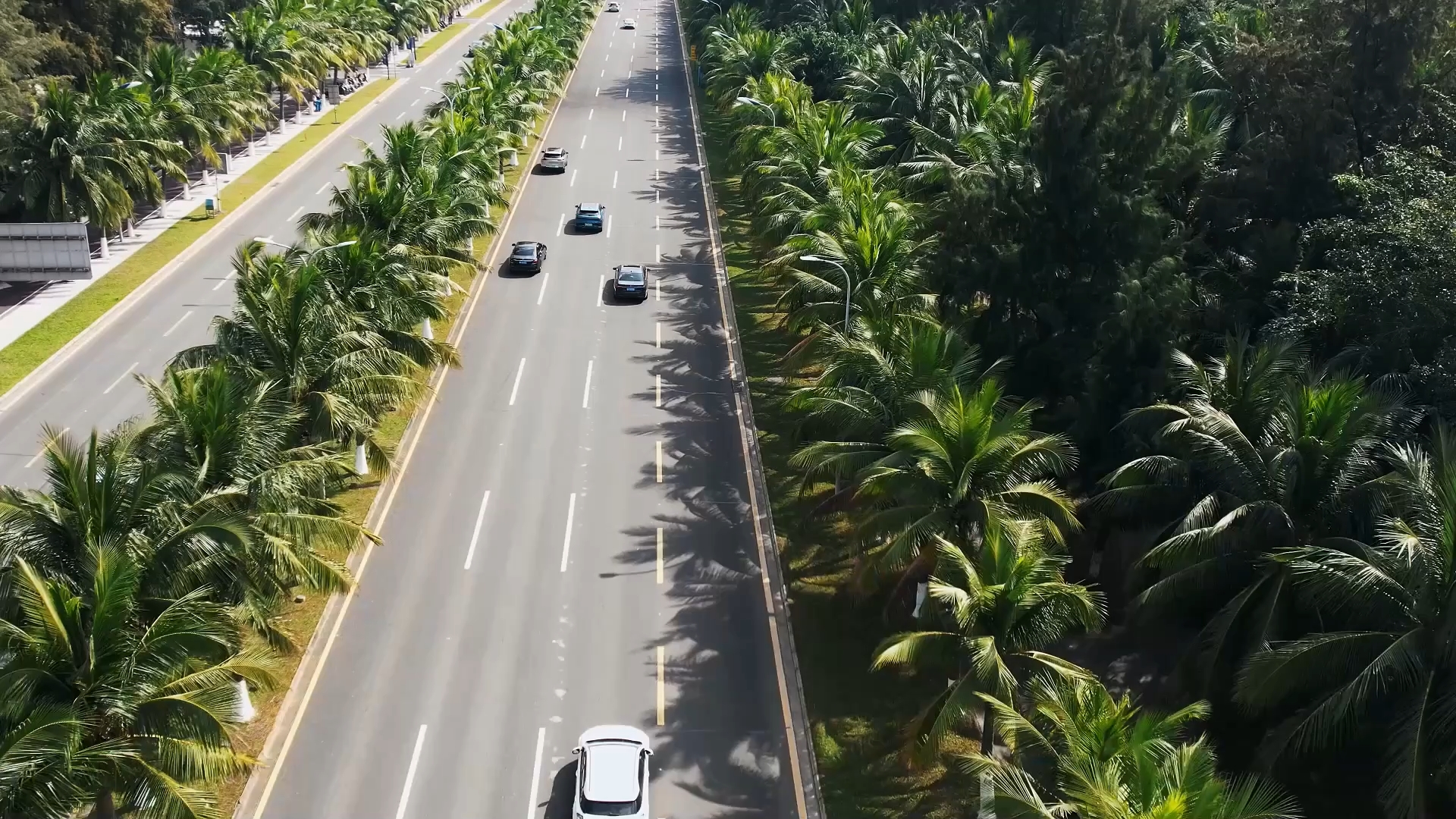 Globalink british photographer explores nev development in china s hainan