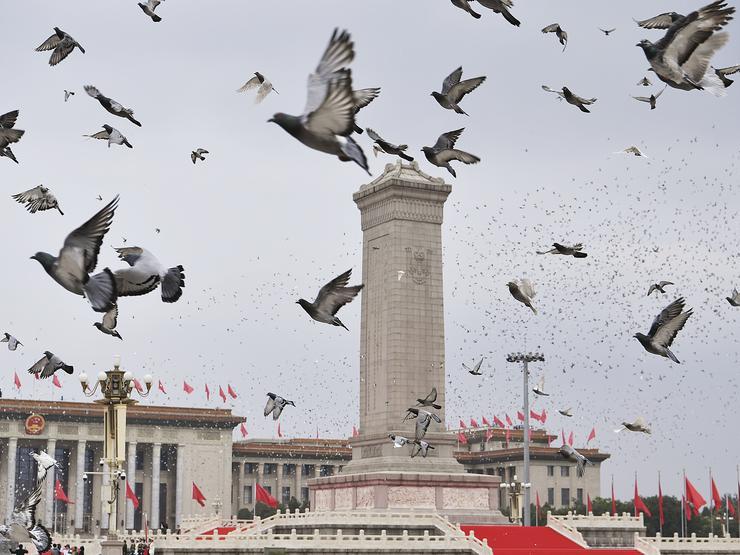 Five principles of peaceful coexistence critical for tackling global