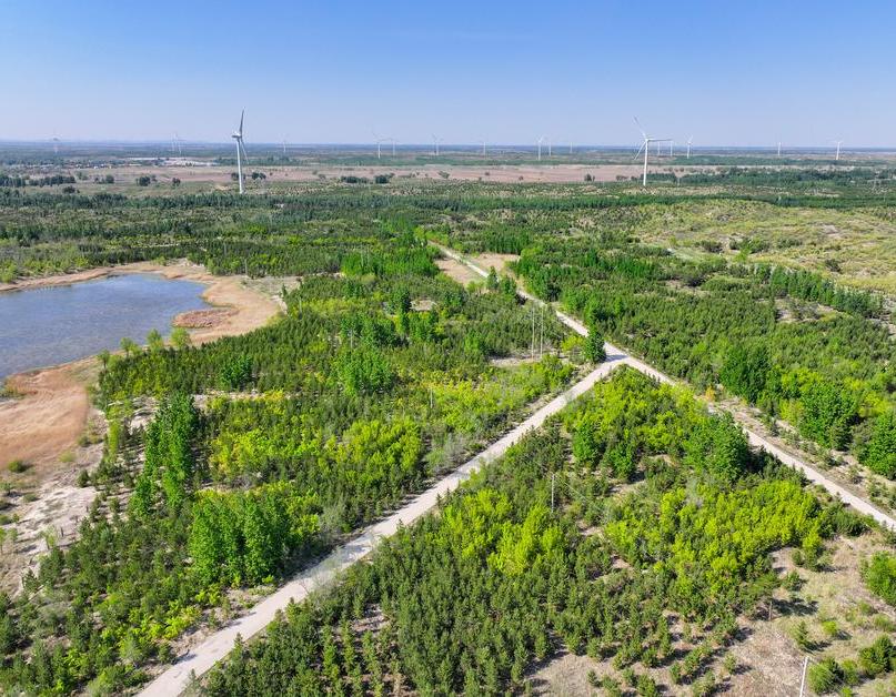Innovation fortifies china s green great wall against desertification