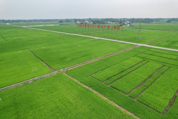 An aerial drone photo taken on July 4, 2024 shows a modern agricultural park in Dayi County, southwest China