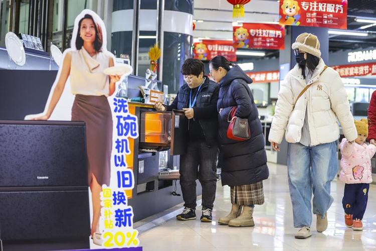 Customers choose dishwashers in a shopping mall in Qingdao, east China's Shandong Province, Jan. 8, 2025. (Photo by Zhang Ying/Xinhua)